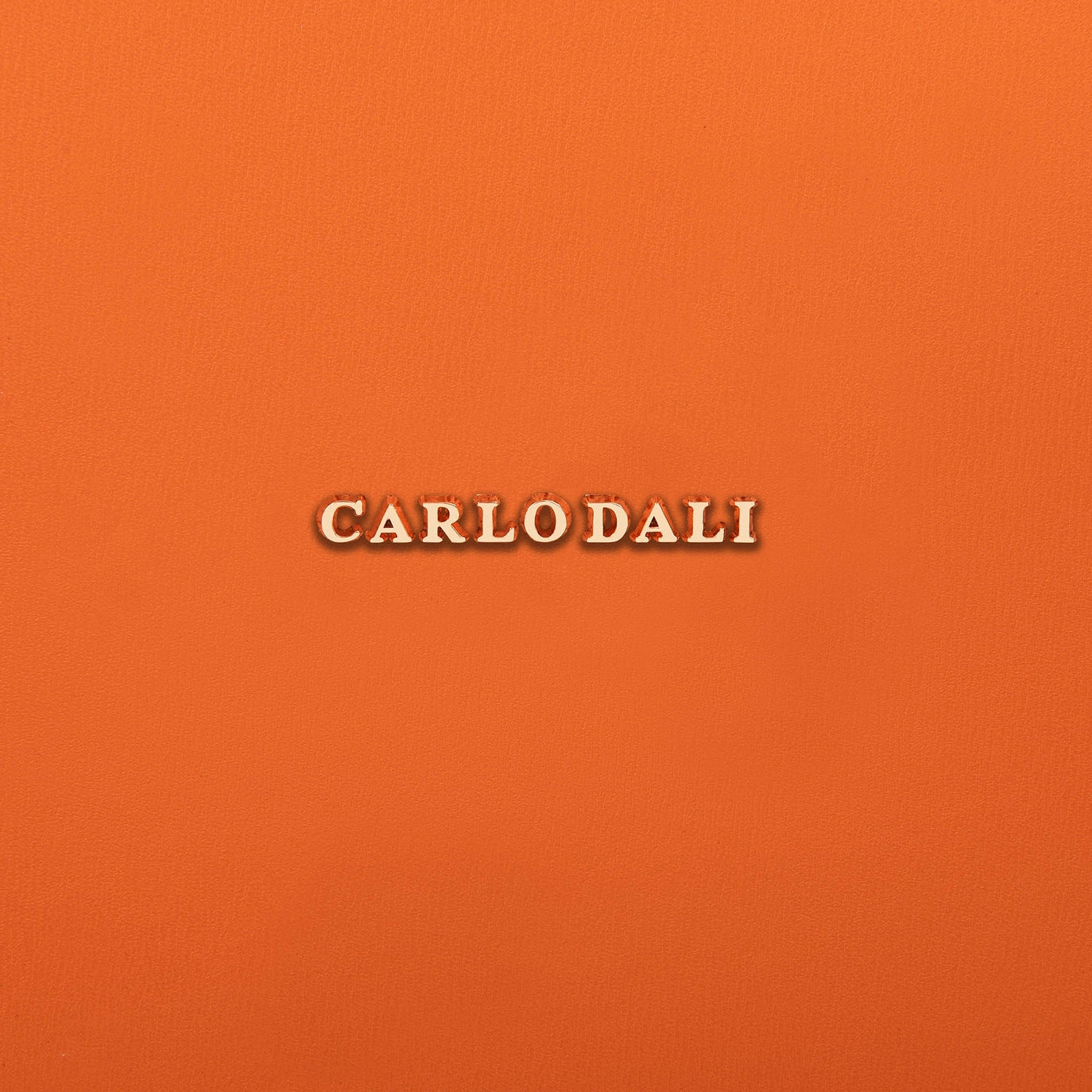 CARLO DALI „Brigitte“ – Elegante Tragetasche aus echtem Leder